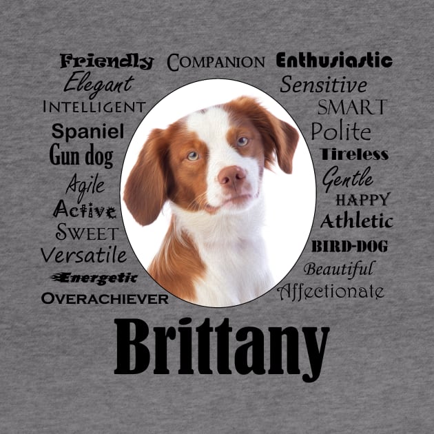 Brittany Traits by You Had Me At Woof